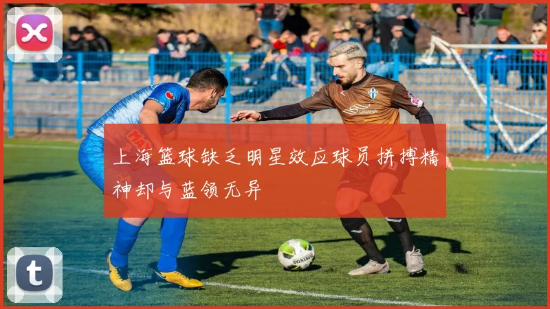 上海篮球缺乏明星效应球员拼搏精神却与蓝领无异
